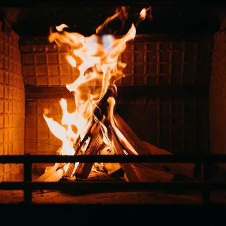 White Fang * בנסקו