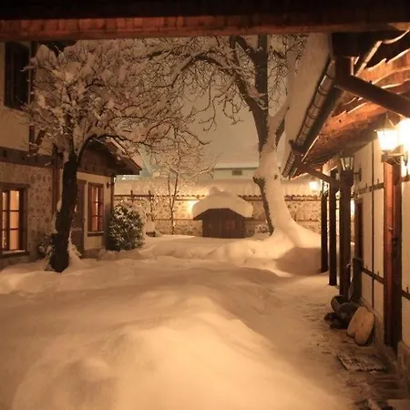 White Fang * Bansko