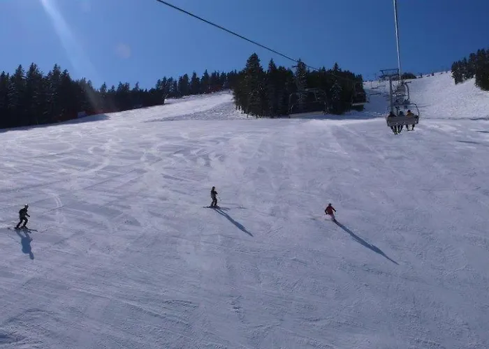 Vakantiehuis White Fang *